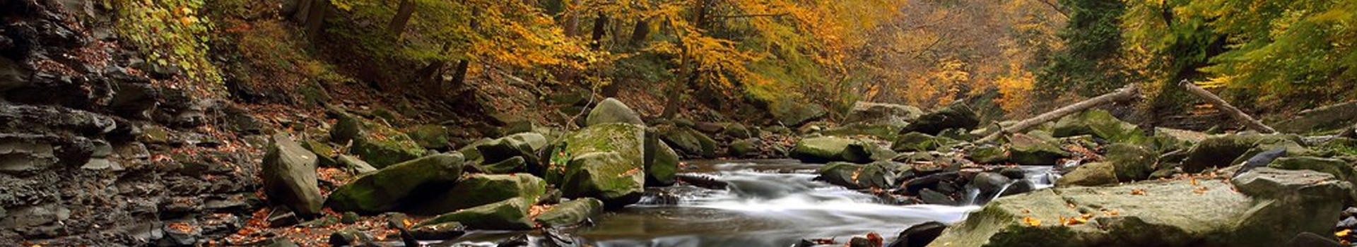 Tinkers-Creek-Slider2