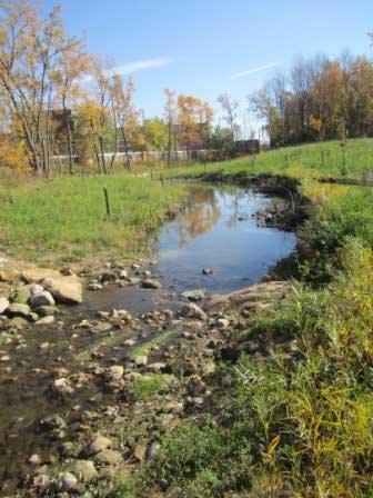 Bear Creek Restoration, Warrensville Heights