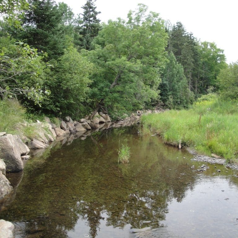 2010-hu-photos-6