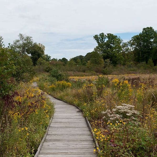 Herrick Fen Nature Reserve