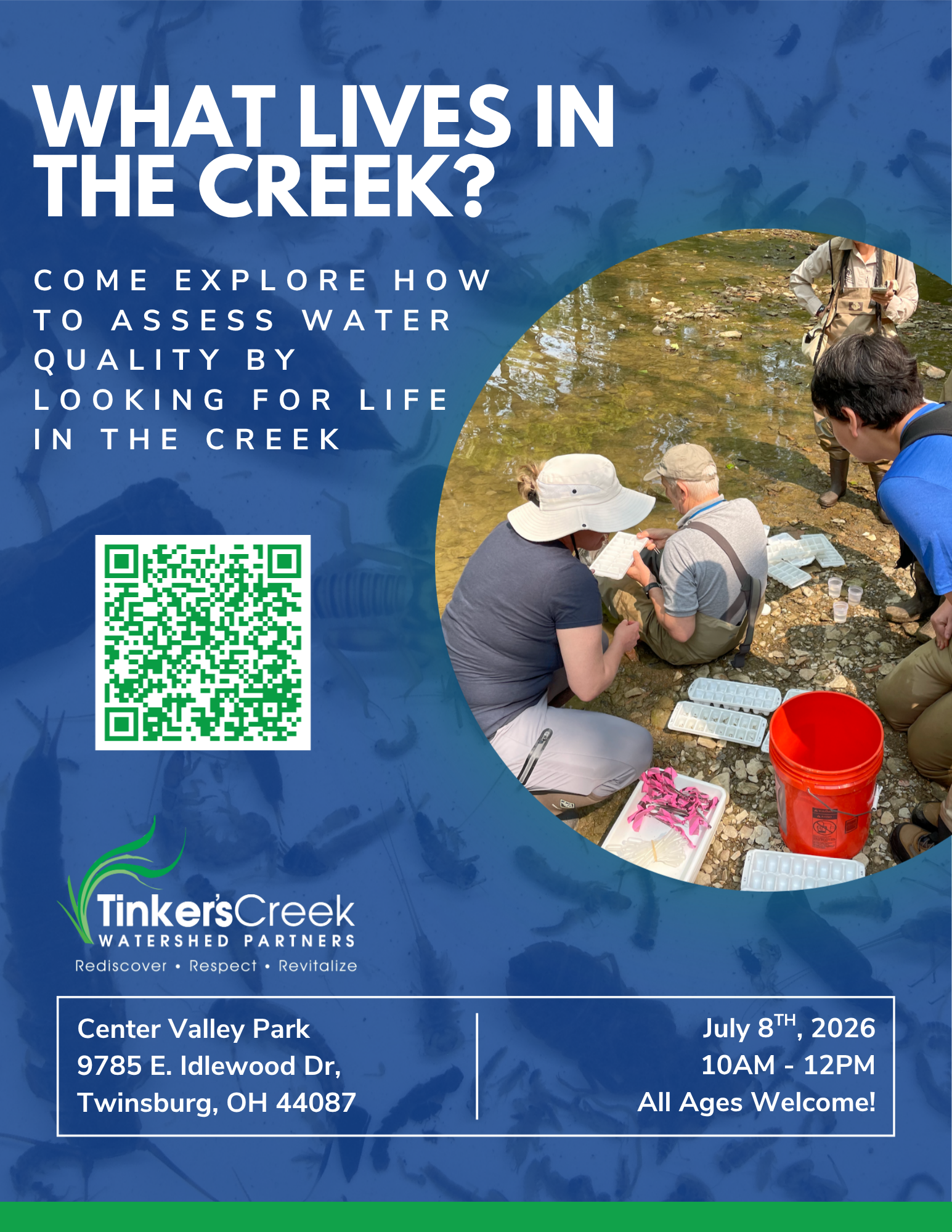 What Lives in the Creek? Come Explore Life in the Creek!